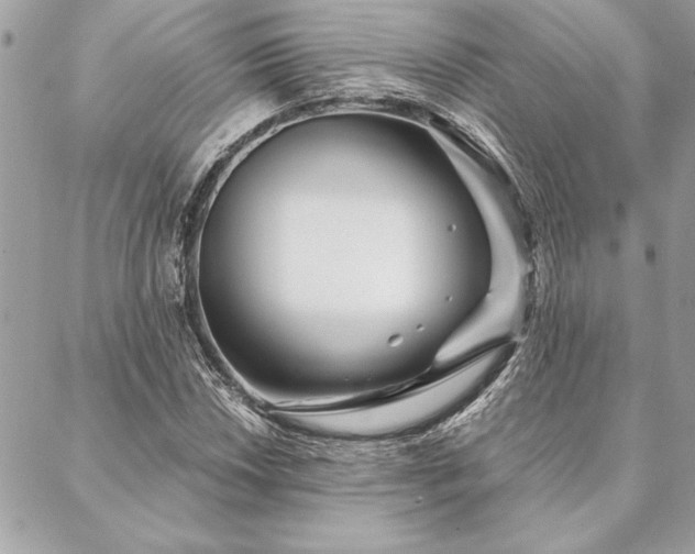 X0000088571018200706011042