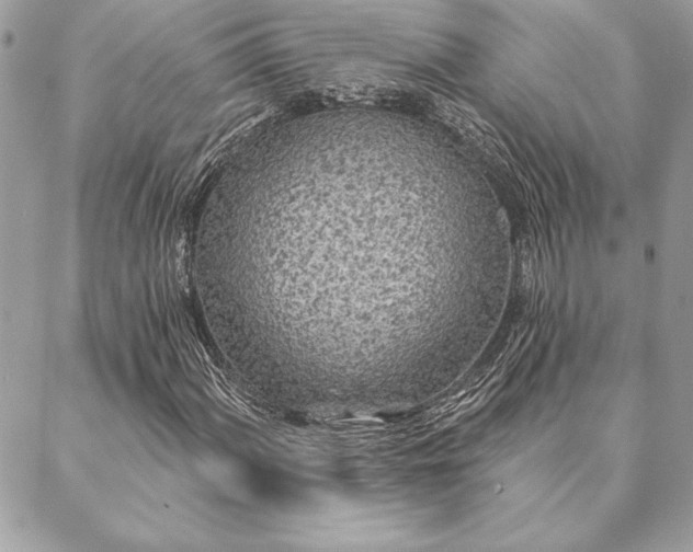 X0000088571060200706011042