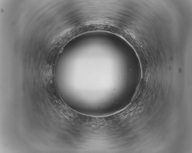 X0000088571062200706011042