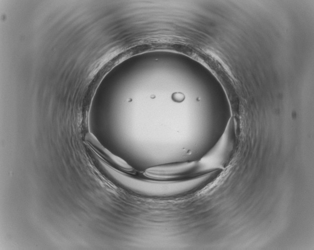 X0000088571065200706011042