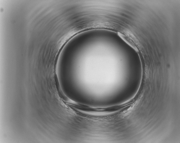 X0000088571089200706011042