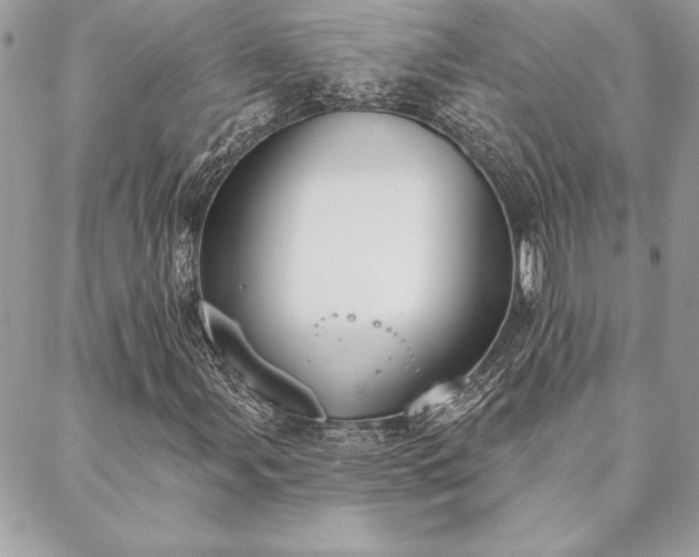 X0000088571107200706011041