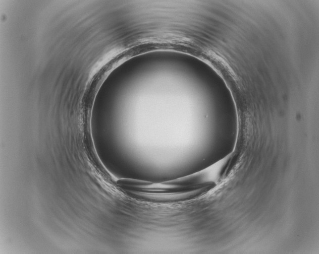 X0000088571114200706011041