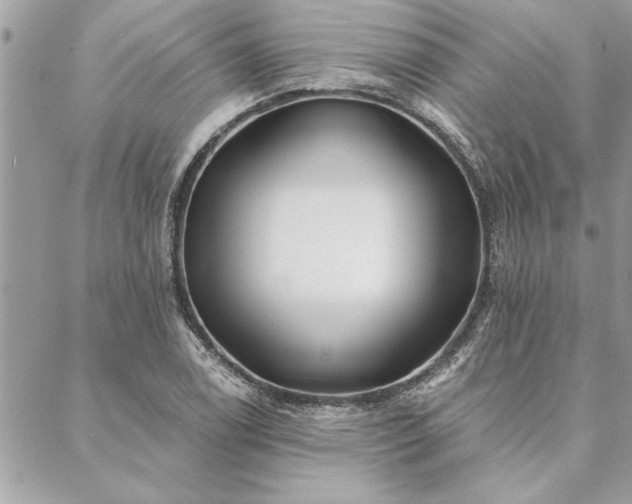 X0000088571122200706011041