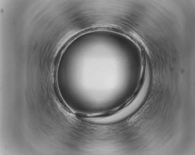 X0000088571124200706011041