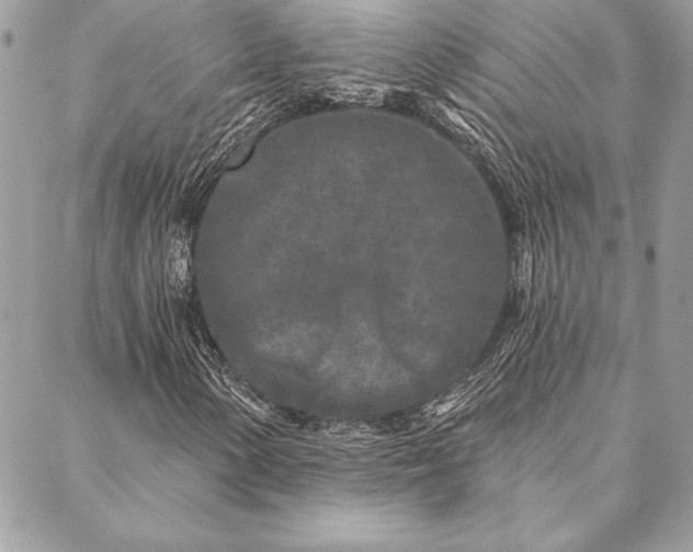 X0000088571154200706011041