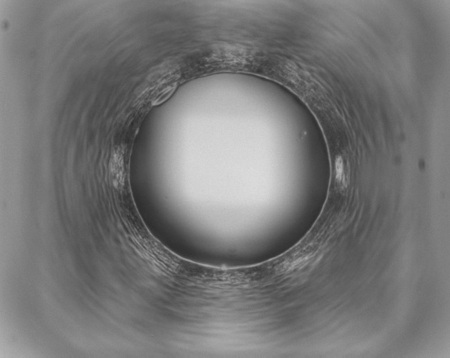 X0000088571203200706011039