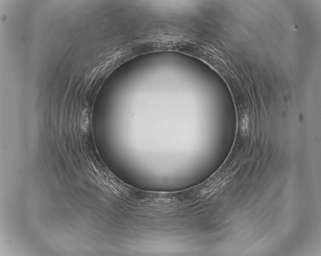 X0000088571204200706011039