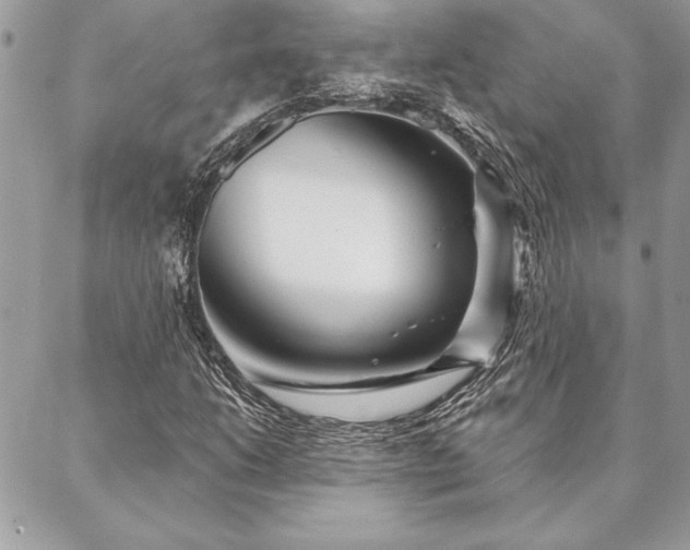 X0000088571206200706011039