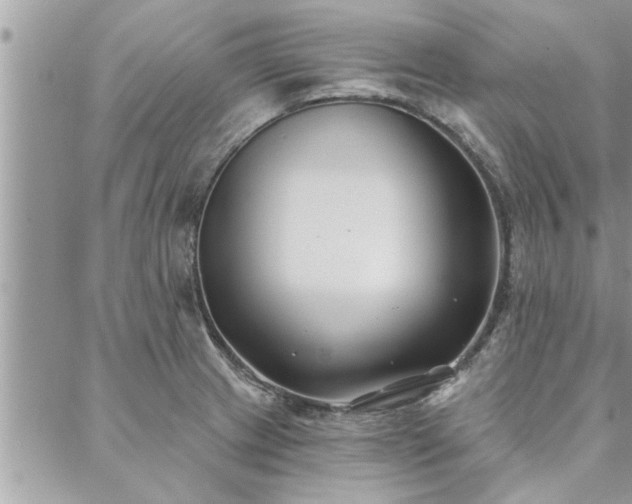 X0000088571233200706011040