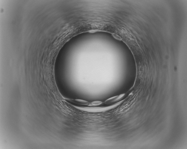 X0000088571249200706011039