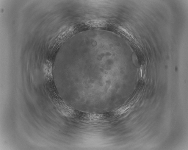 X0000088571251200706011039