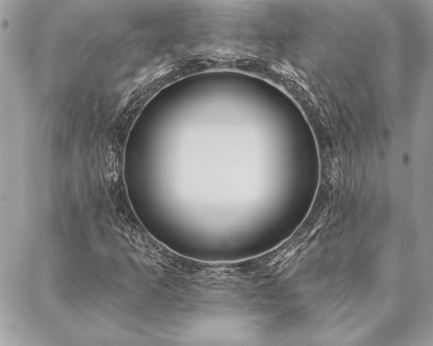 X0000088571253200706011039