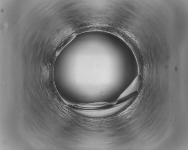 X0000088571257200706011039