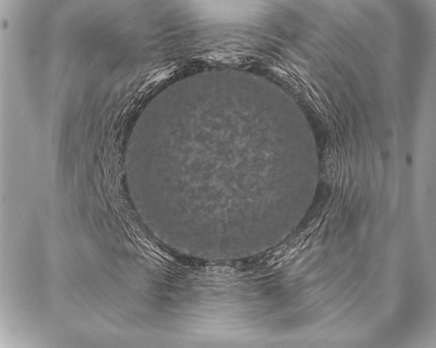 X0000088571297200706011037