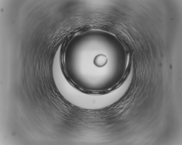 X0000088571298200706011037