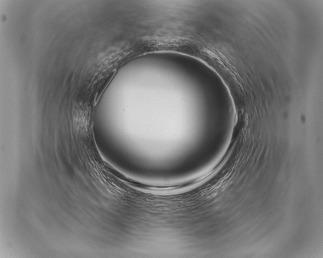 X0000088571300200706011037