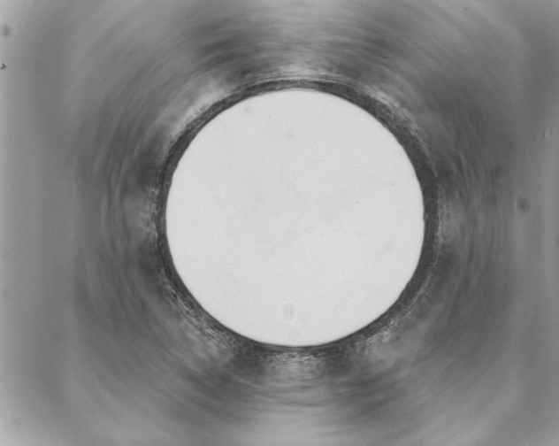 X0000088571314200706011038