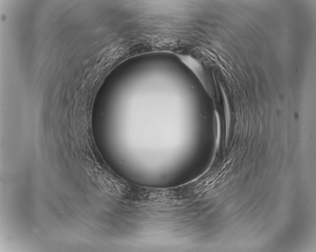 X0000088571345200706011037
