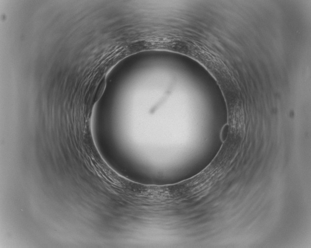 X0000088571346200706011037