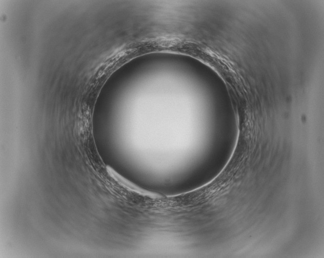 X0000088571349200706011037