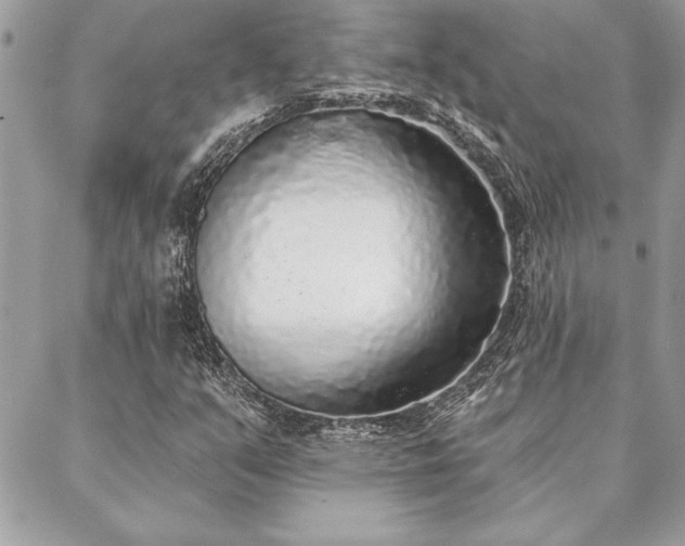 X0000088571351200706011037