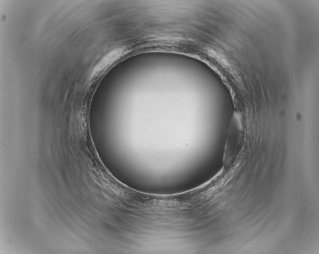 X0000088571354200706011037