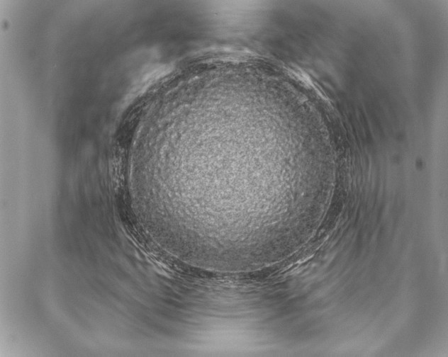 X0000088571399200706011036