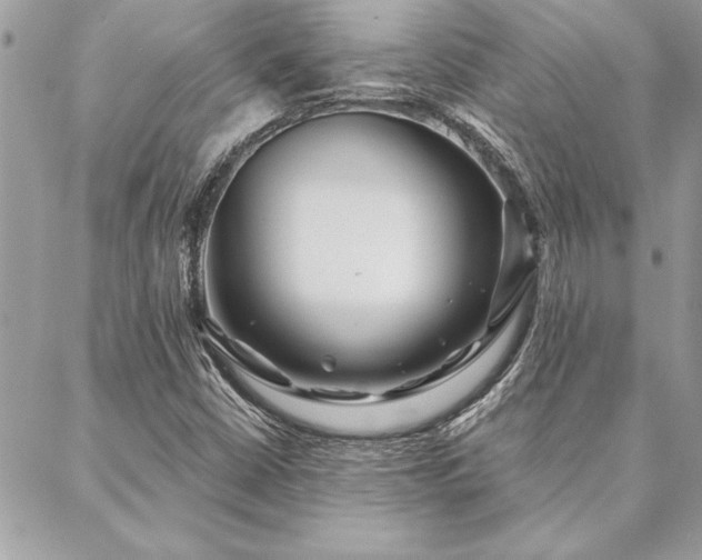 X0000088571402200706011036