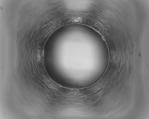 X0000088571442200706011036
