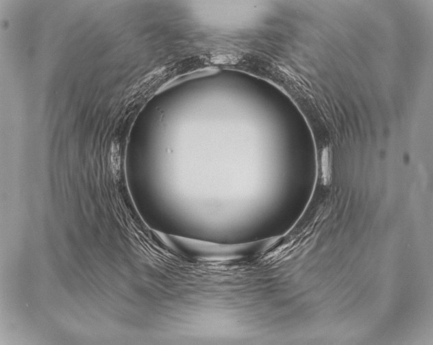 X0000088571443200706011036