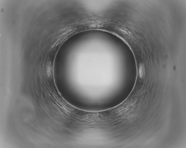 X0000088571444200706011036