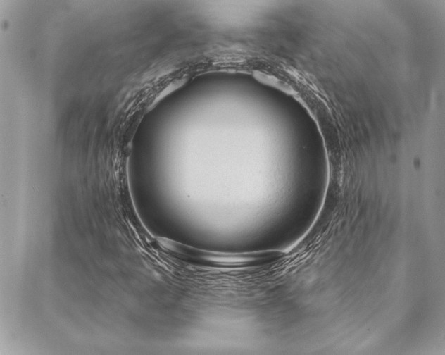 X0000088571445200706011036