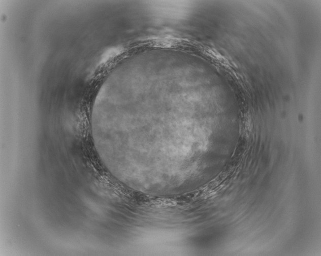 X0000088571446200706011036