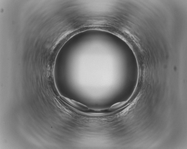 X0000088571449200706011036