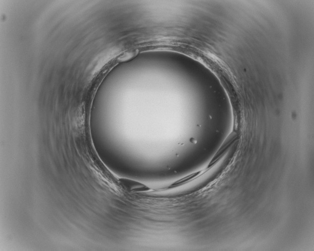 X0000088571450200706011036