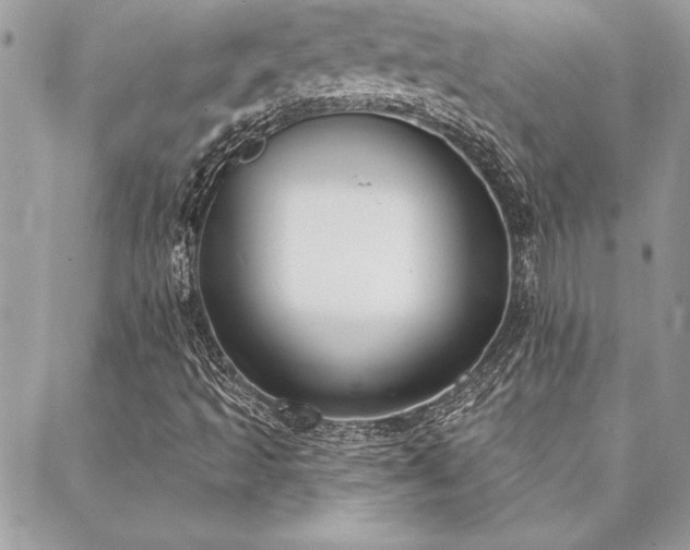 X0000088571493200706011034