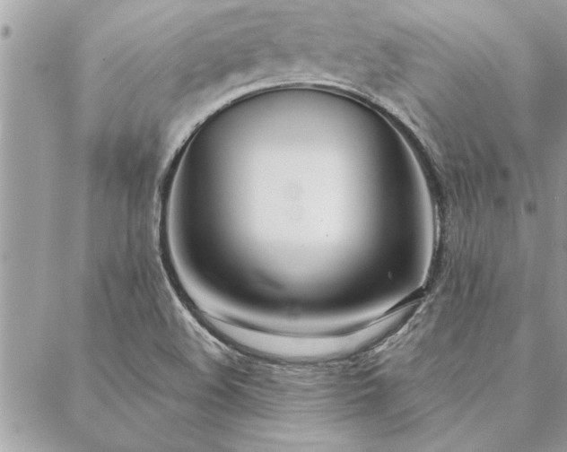X0000088571508200706011035