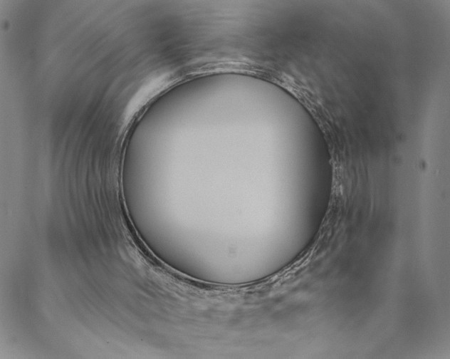 X0000088570004200706081109