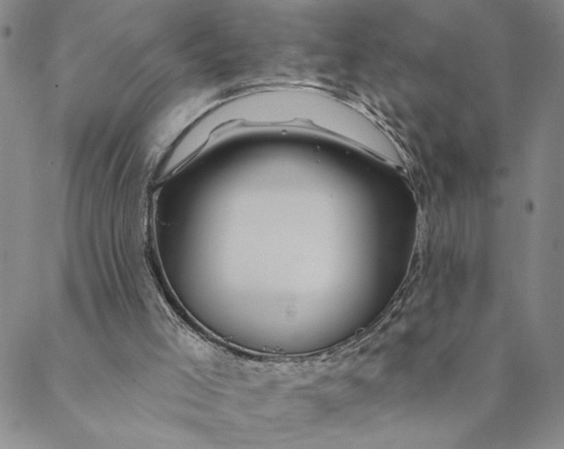 X0000088570005200706081109