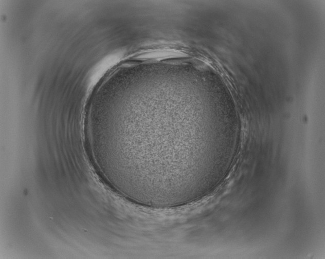 X0000088570006200706081109