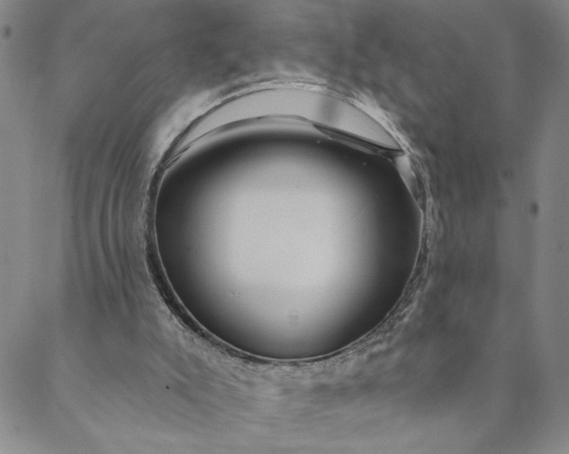 X0000088570007200706081109