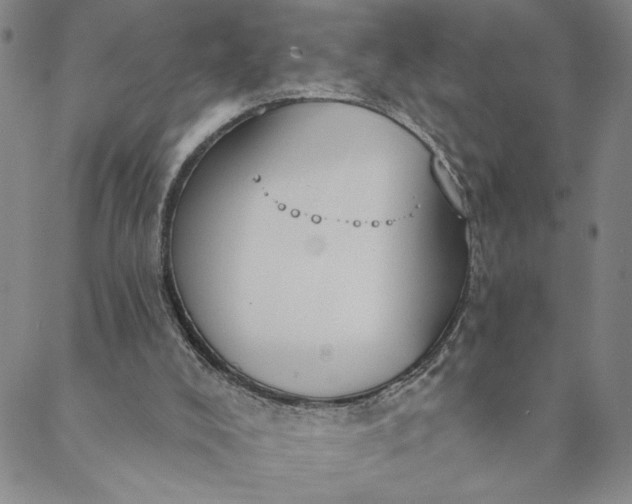 X0000088570008200706081109