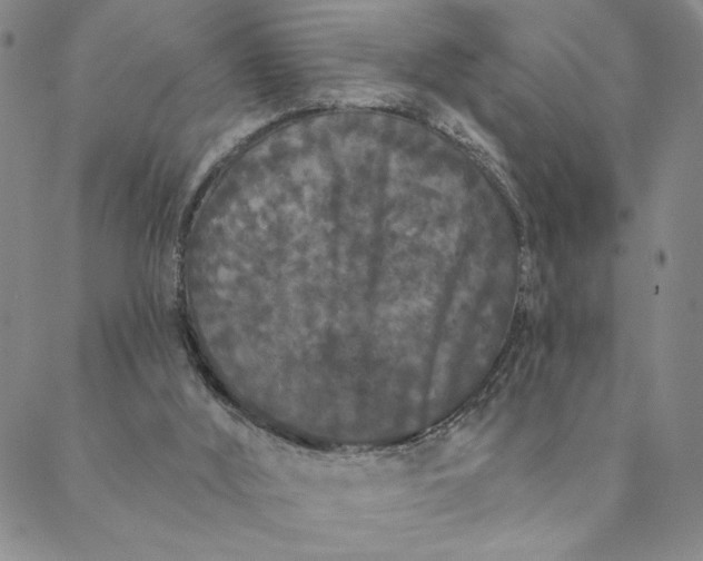 X0000088570012200706081109
