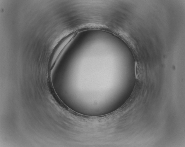 X0000088570015200706081109