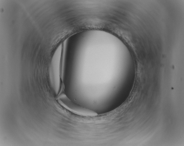 X0000088570017200706081109