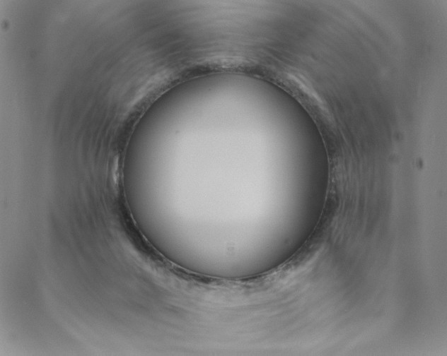 X0000088570024200706081109