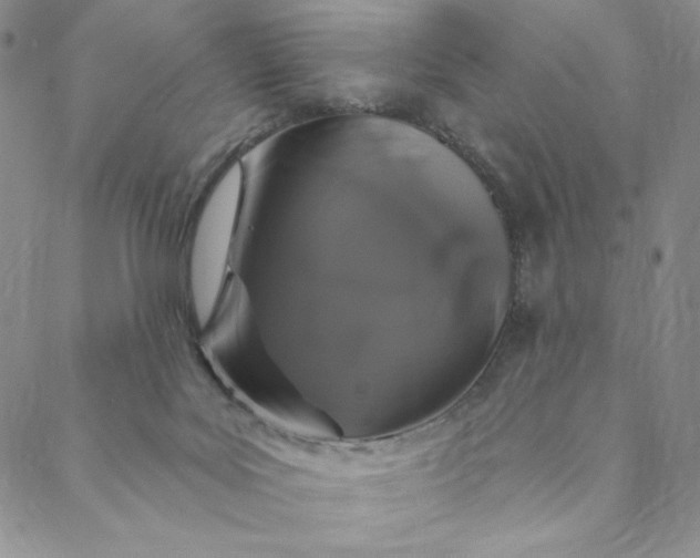 X0000088570027200706081109