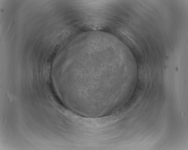 X0000088570030200706081109