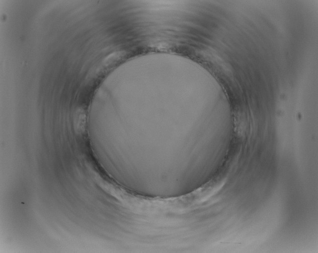 X0000088570036200706081109
